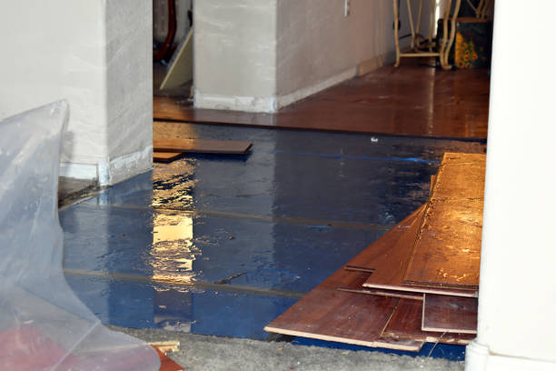 Professional Basement Flood Cleanup technician working in Leslie, MO